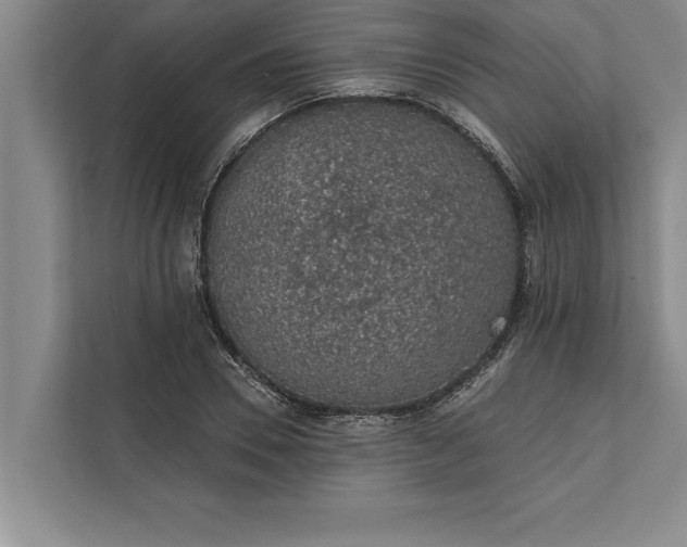 X0000112380930200908271316