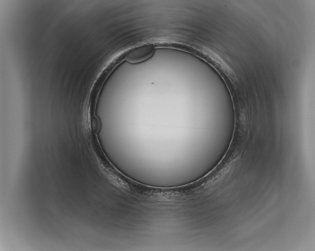 X0000112380934200908271316