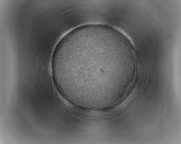 X0000112380935200908271316