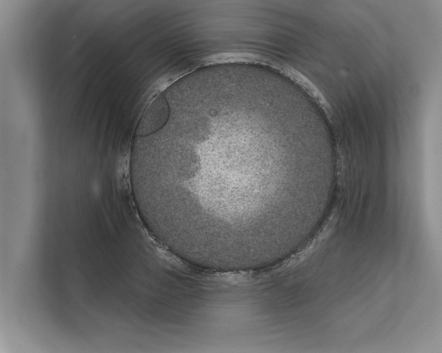 X0000112380937200908271316