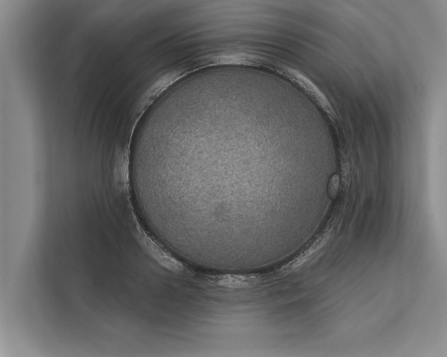 X0000112380938200908271316