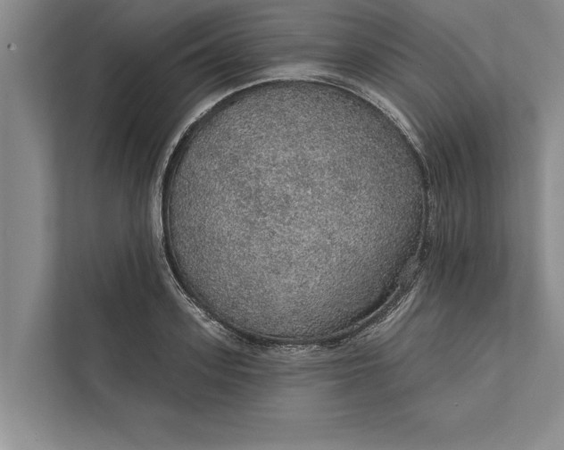 X0000112380939200908271316