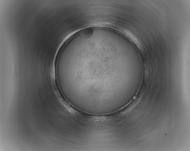 X0000112380940200908271316