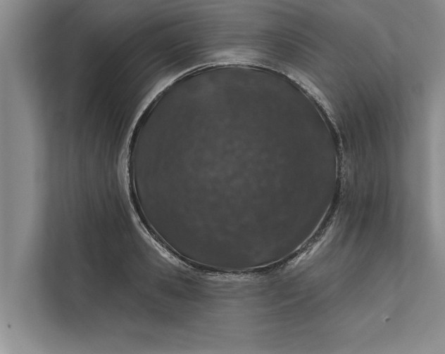 X0000112380941200908271317