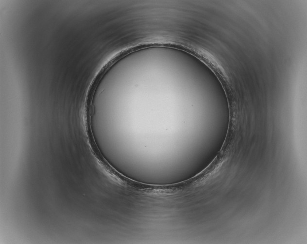 X0000112380942200908271317