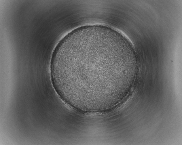 X0000112380943200908271317