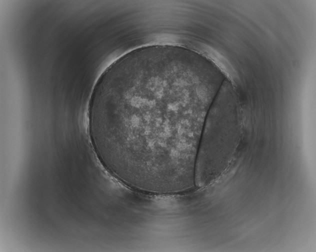 X0000112380944200908271317