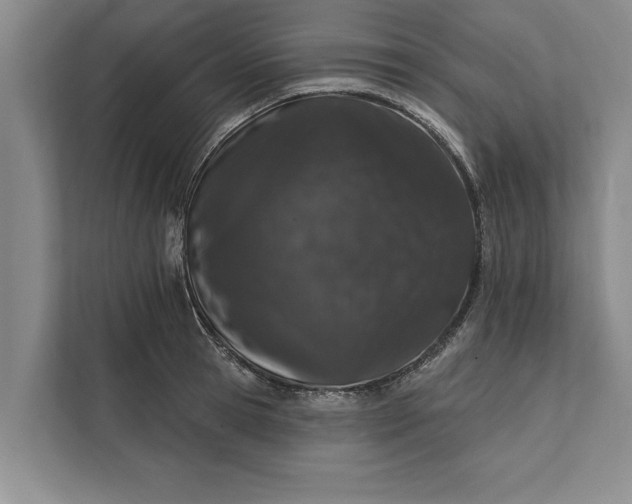 X0000112380945200908271317