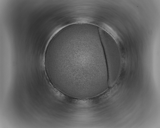 X0000112380948200908271317