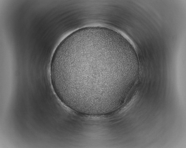 X0000112380951200908271317