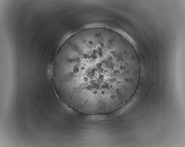 X0000112380953200908271317