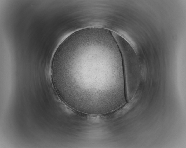 X0000112380956200908271317