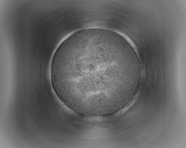 X0000112380957200908271317