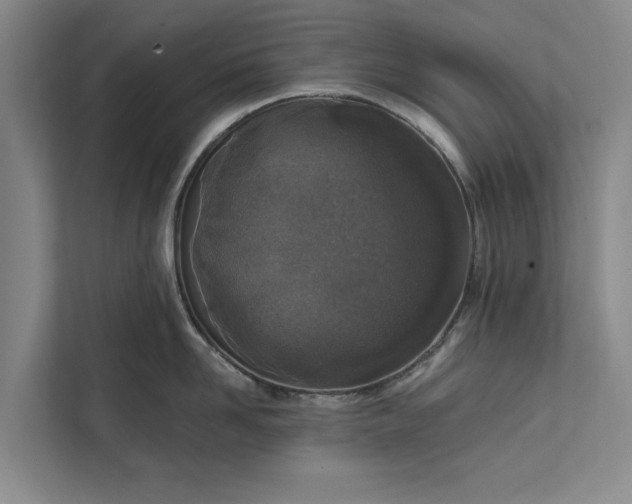 X0000112380958200908271317