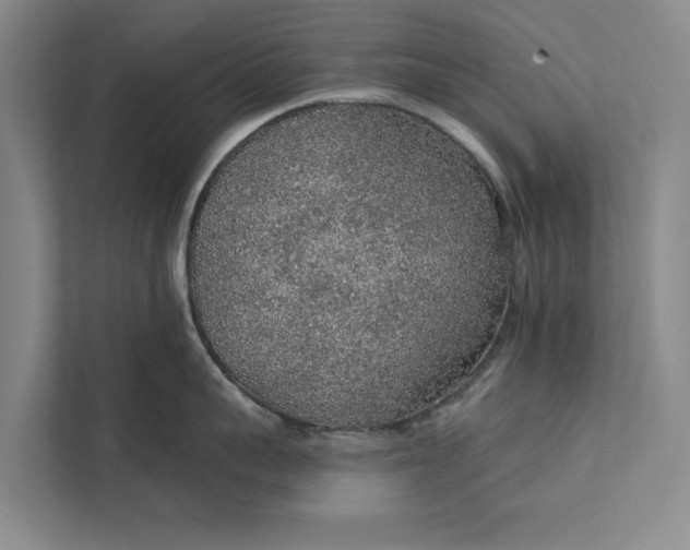 X0000112380959200908271317