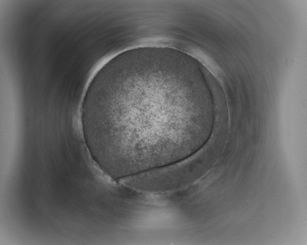 X0000112380960200908271317