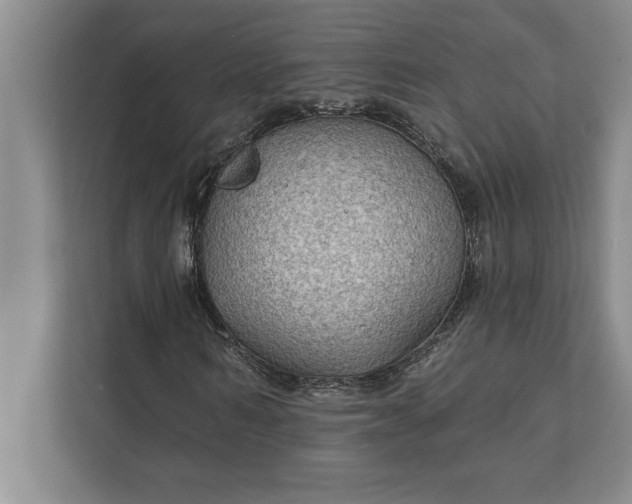 X0000112380962200908271316