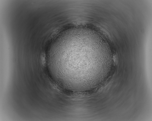 X0000112380963200908271316