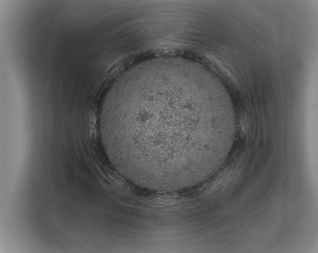 X0000112380964200908271316