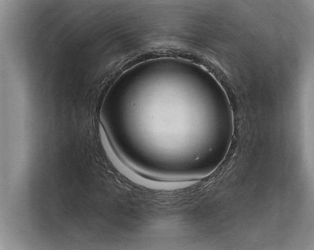 X0000112380965200908271316