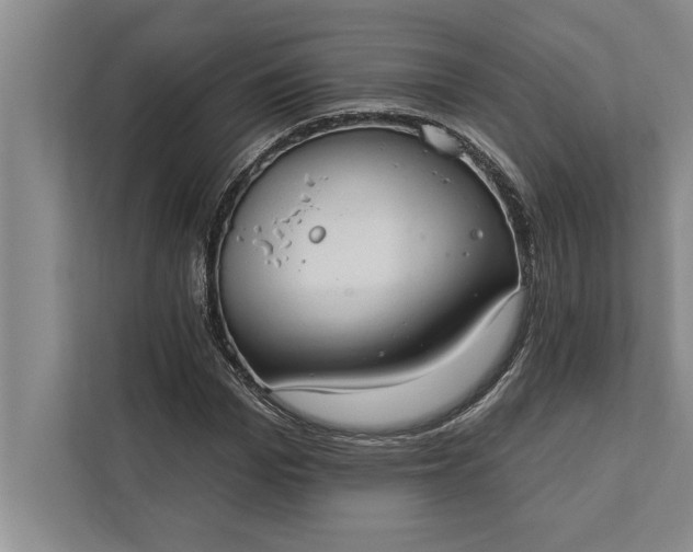 X0000112380969200908271316