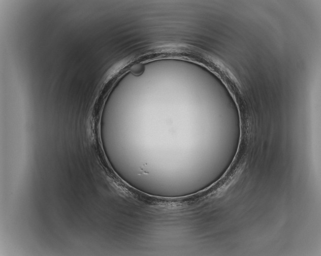 X0000112380970200908271316