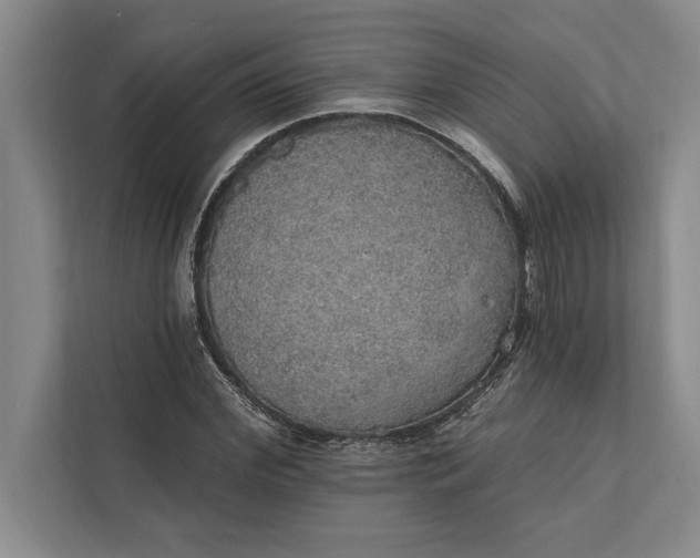 X0000112380972200908271316