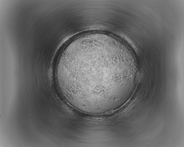 X0000112380975200908271316