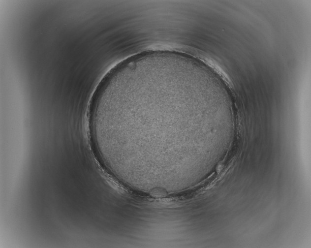 X0000112380976200908271316