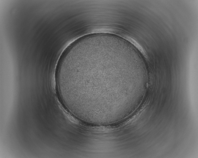 X0000112380980200908271316