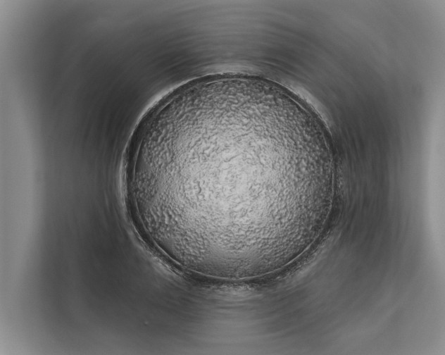 X0000112380983200908271316