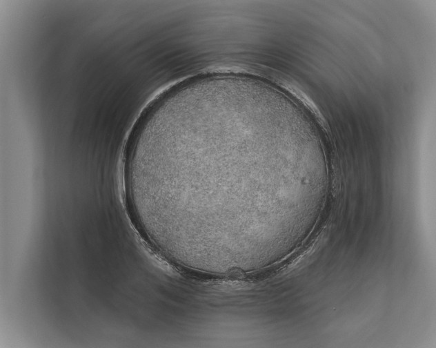 X0000112380984200908271316