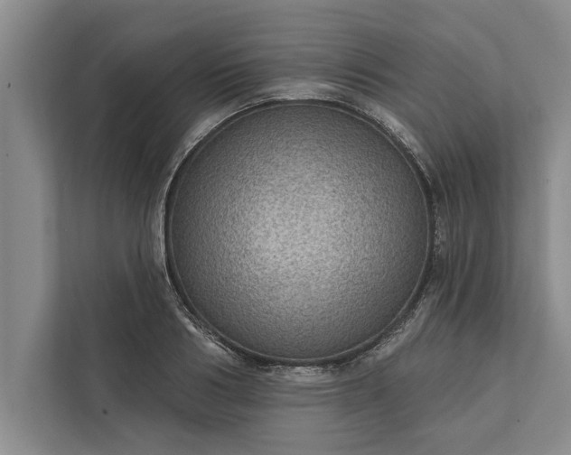 X0000112380986200908271316