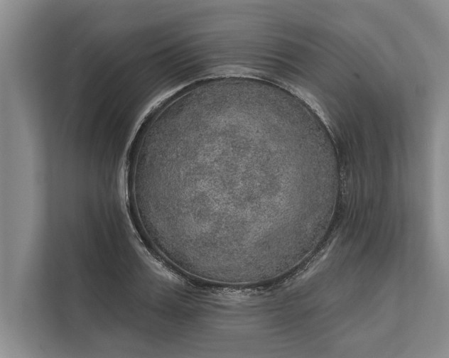 X0000112380987200908271316