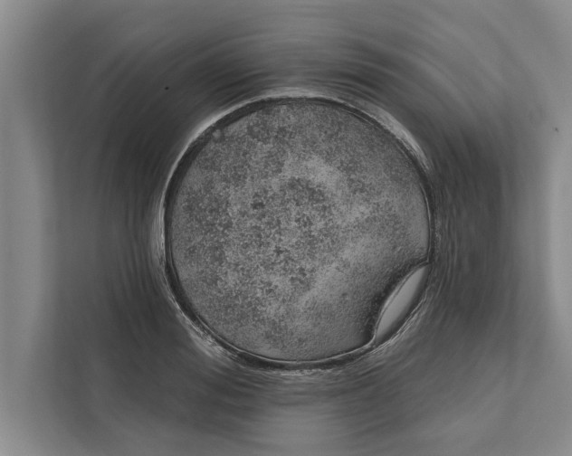 X0000112380988200908271316