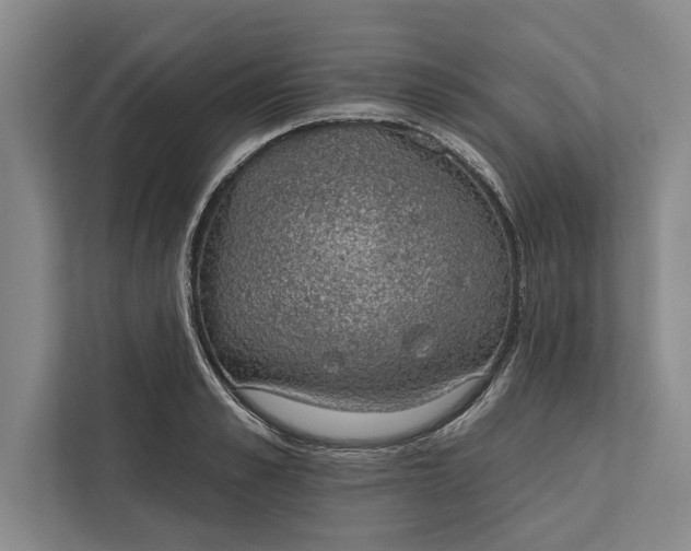 X0000112380989200908271316