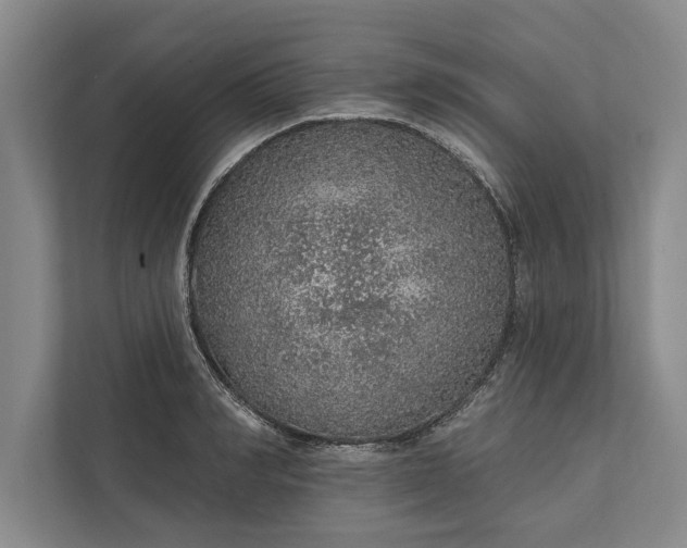 X0000112380990200908271316