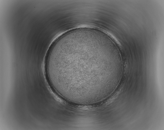 X0000112380991200908271316