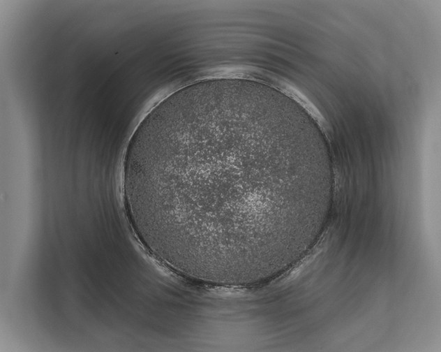 X0000112380994200908271316