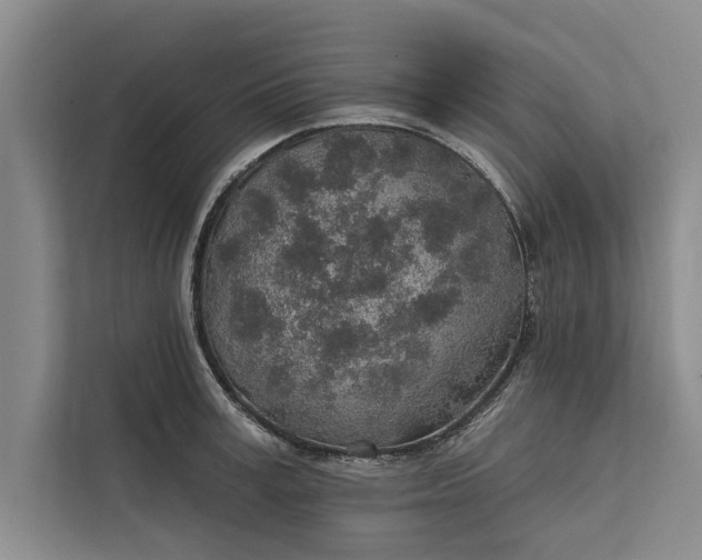 X0000112380995200908271316