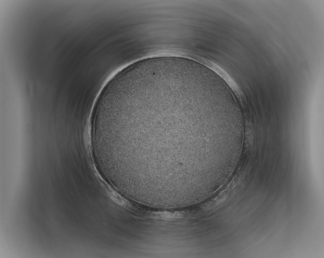 X0000112380996200908271315