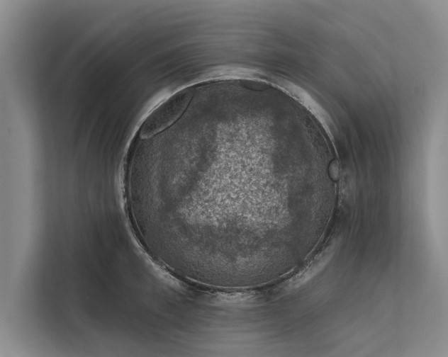 X0000112380997200908271315