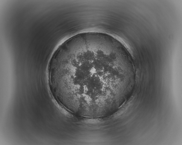 X0000112380998200908271315