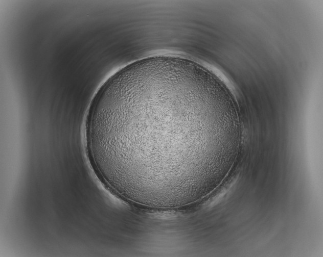 X0000112380999200908271315