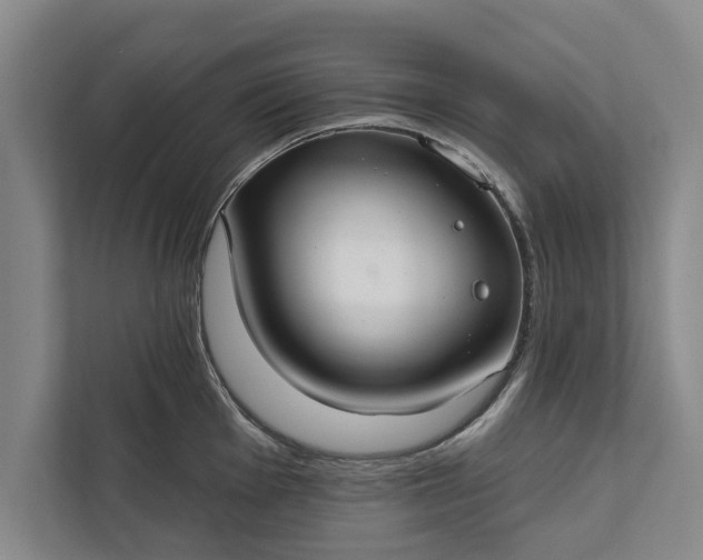 X0000112381001200908271315