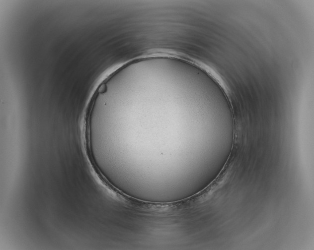 X0000112381003200908271315