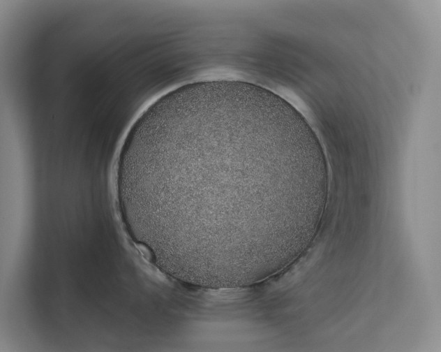 X0000112381008200908271315