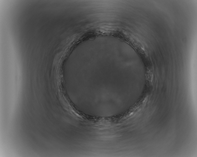 X0000112381009200908271315