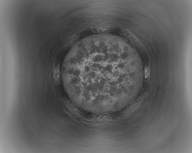 X0000112381011200908271315