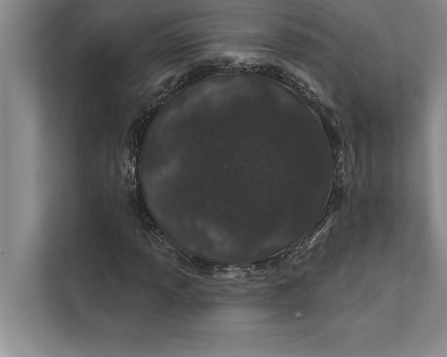 X0000112381013200908271315